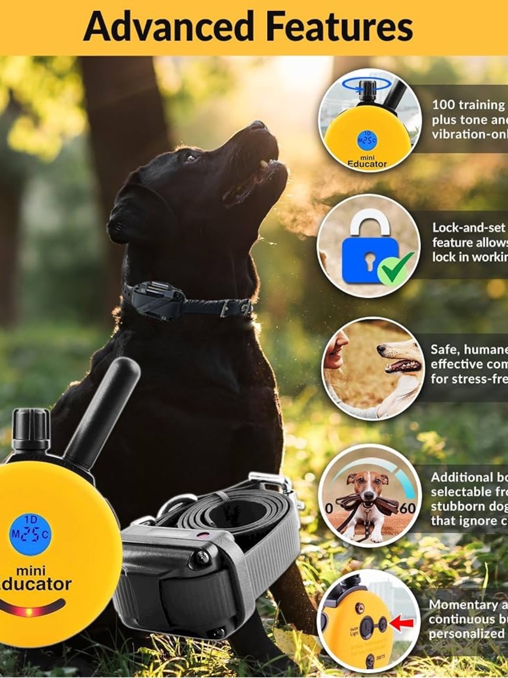 E-Collar Orange Remote Dog Trainer with Case